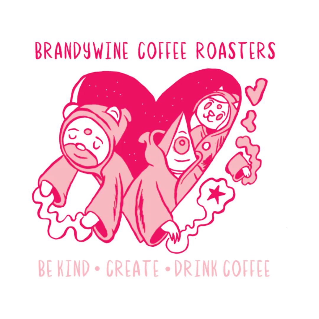 Costa Rica - La Rosa - Brandywine Coffee Roasters (340g)