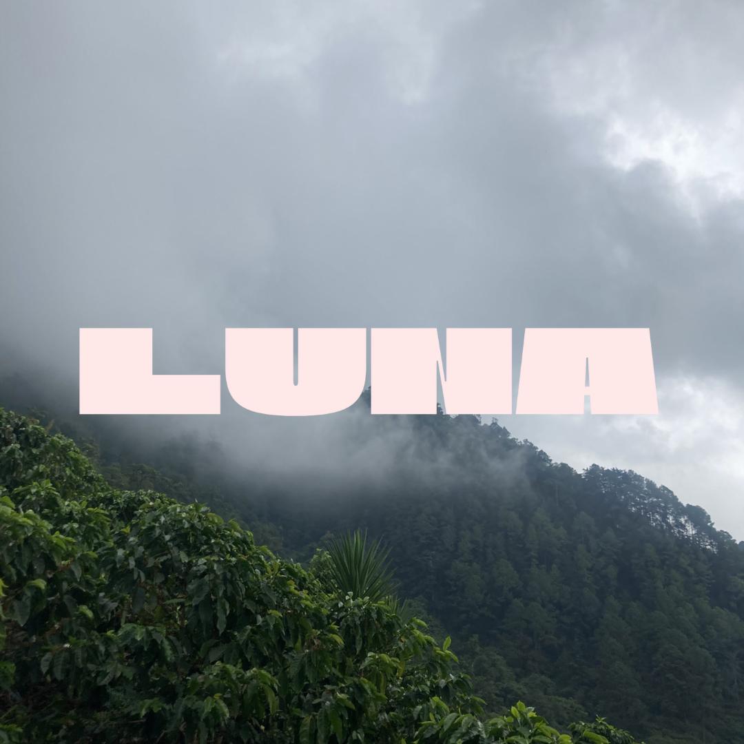 February 2025: Luna Coffee